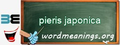 WordMeaning blackboard for pieris japonica